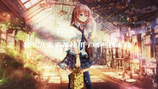 独立开发者都使用了哪些技术栈？