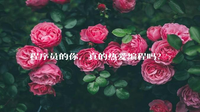 程序员的你，真的热爱编程吗？
