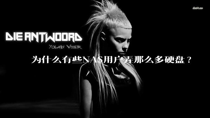 为什么有些NAS用户弄那么多硬盘?