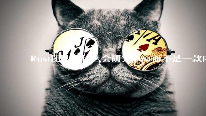 Rust团队为什么会研究Rust而不是一款内存安全的C/C++语言编译器？
