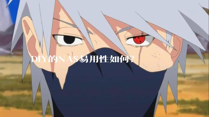 DIY的NAS易用性如何？