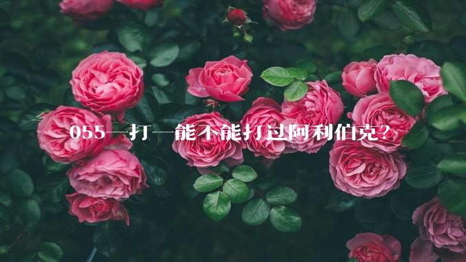 055一打一能不能打过阿利伯克？