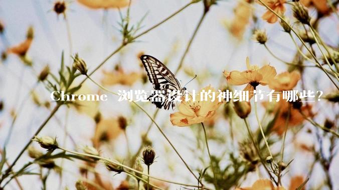 Chrome 浏览器设计的神细节有哪些？