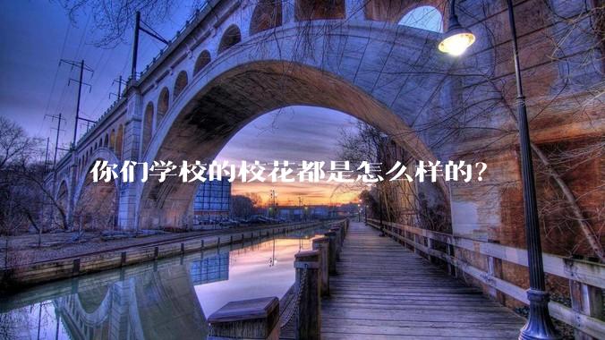 你们学校的校花都是怎么样的？
