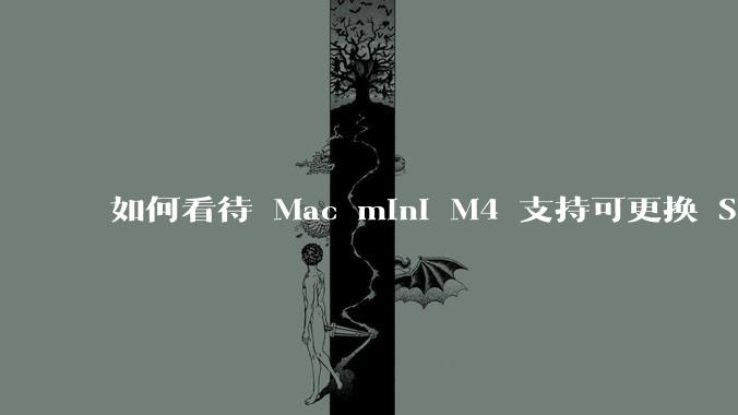 如何看待 Mac mini M4 支持可更换 SSD？