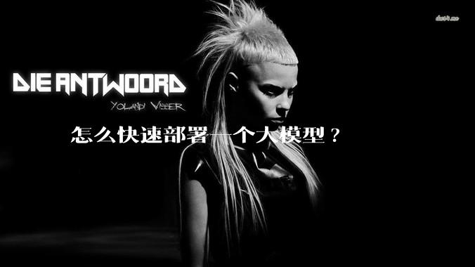 怎么快速部署一个大模型?