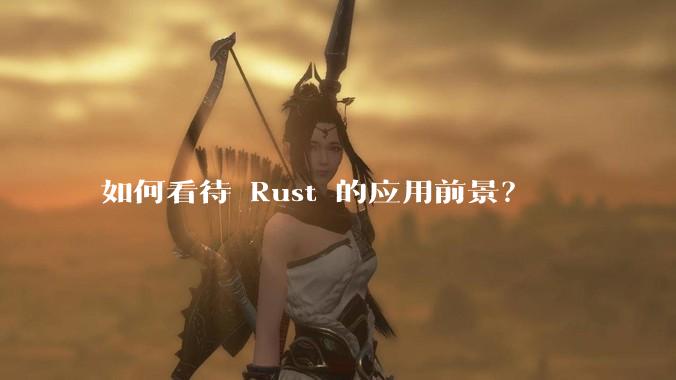 如何看待 Rust 的应用前景？