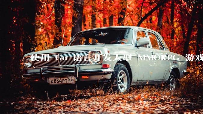 使用 Go 语言开发大型 MMORPG 游戏服务器怎么样？