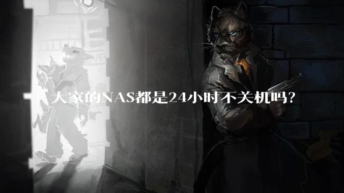 大家的NAS都是24小时不关机吗？