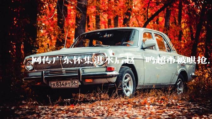 网传广东怀集洪水后赵一鸣超市被哄抢，县***回应相关单位正在核实，若属实哄抢者该承担哪些法律责任？